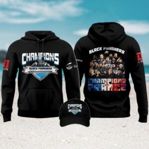 Official Carolina Panthers Logo NFL Fan Hoodie