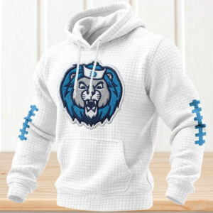 Cute Lions Detroit Lions Football Fan Hoodie
