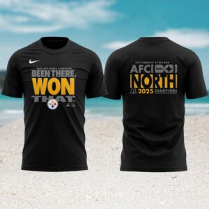 Pittsburgh Steelers 2025 AFC North Division Champions NFL T shirt